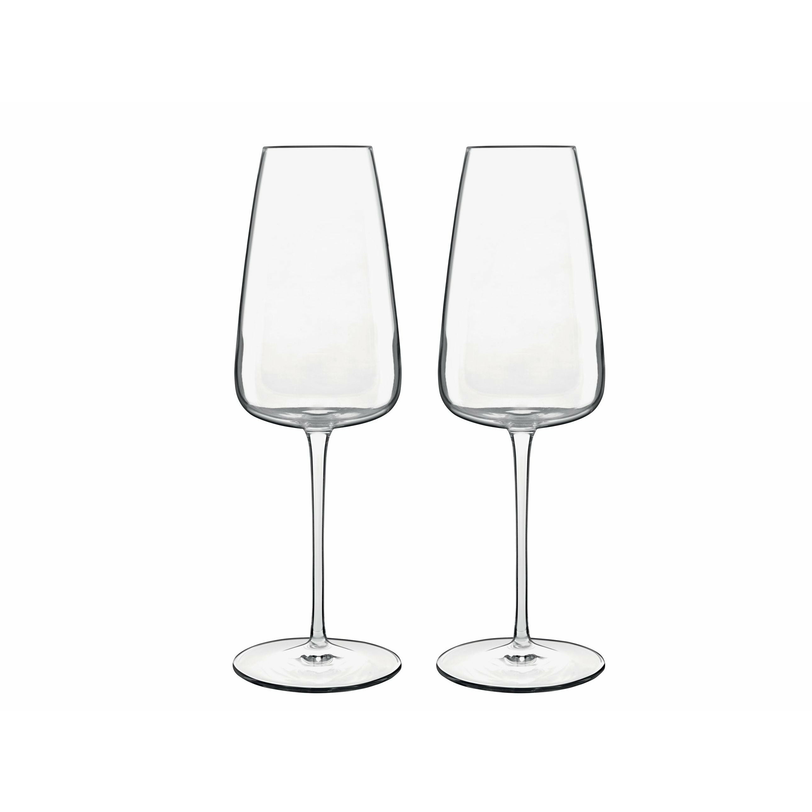 Luigi Bormioli Talismano Champagne Glass, 2 Pieces
