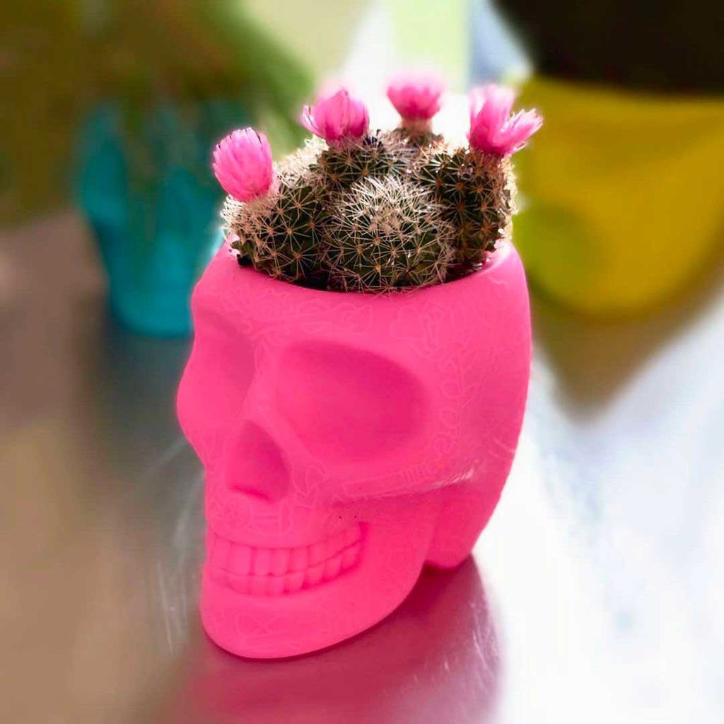 Qeeboo Mexico Planter And Pen Holder Xs, Bright Pink